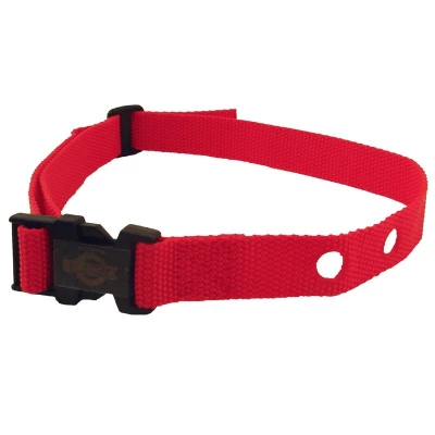 PetSafe® Replacement Collar Strap RFA-569