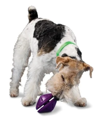 PETSAFE Busy Buddy Puppy Twist ‘n Treat  (L) Refillable dog chew toy