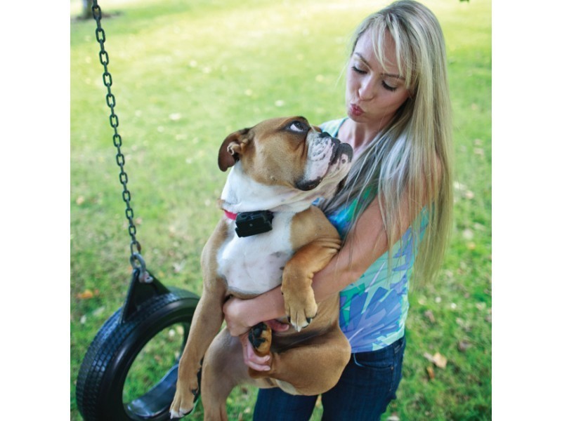 PetSafe Stubborn Dog In-Ground Fence System PRF-3004XW-20