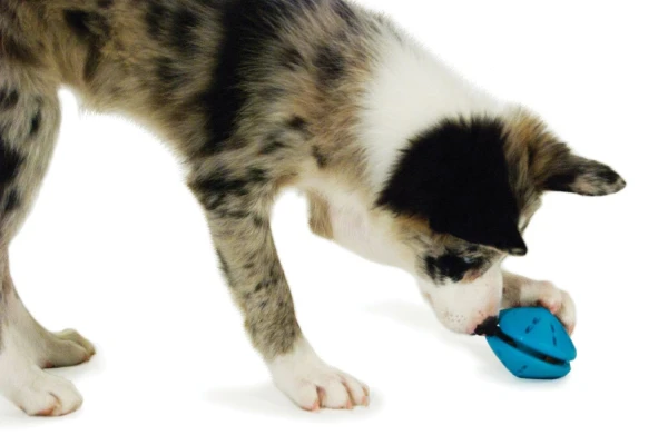 PETSAFE Busy Buddy Puppy Twist ‘n Treat  (XS) Refillable dog chew toy