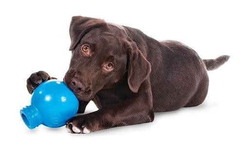 Petsafe Busy Buddy Linkables™ ORB - Dog Puzzle Toy