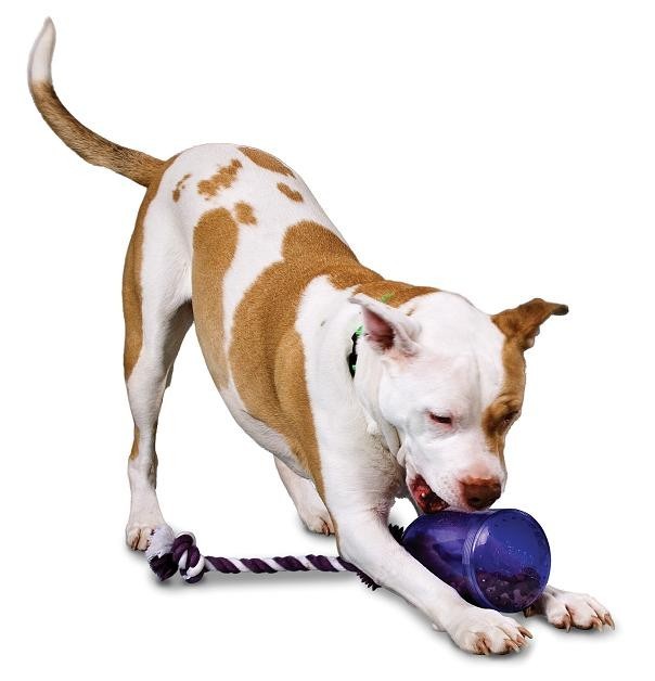 PETSAFE Busy Buddy Tug-a-Jug™  (M/L) Refillable dog chew toy 