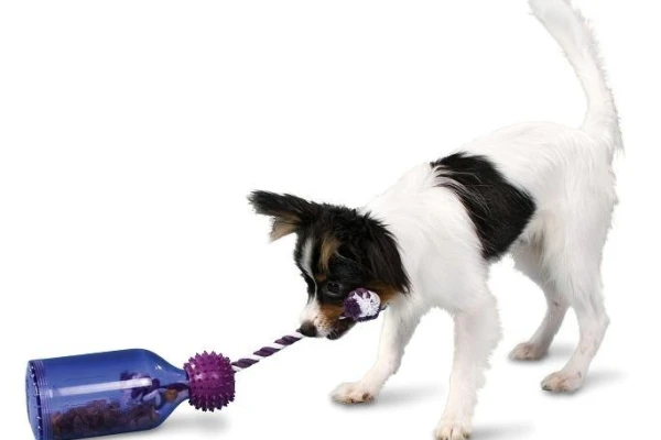 PETSAFE Busy Buddy Tug-a-Jug™ (S) Refillable dog chew toy