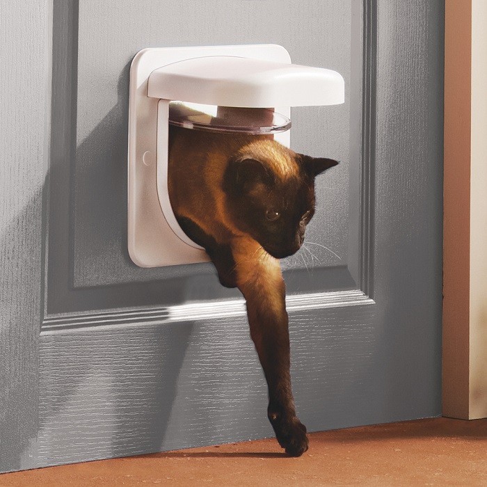 Cat flaps outlet with chip recognition