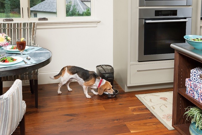 PETSAFE HEALTHY PET SIMPLY FEED™ AUTOMATIC FEEDER