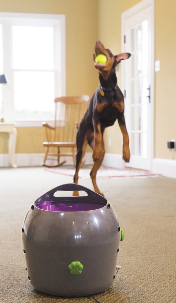 PetSafe automata Labdakilövő kutyáknak - Labdadobó kutyáknak normál méretű teniszlabdával