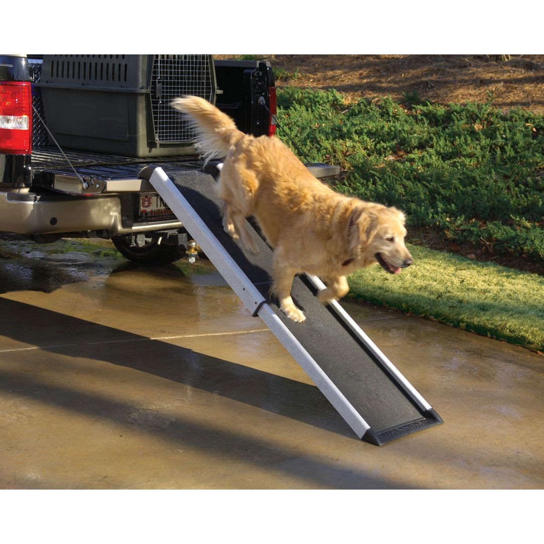 Smart kutyarámpa (136 kg súlyig - 178 cm -ig) a PetSafetől