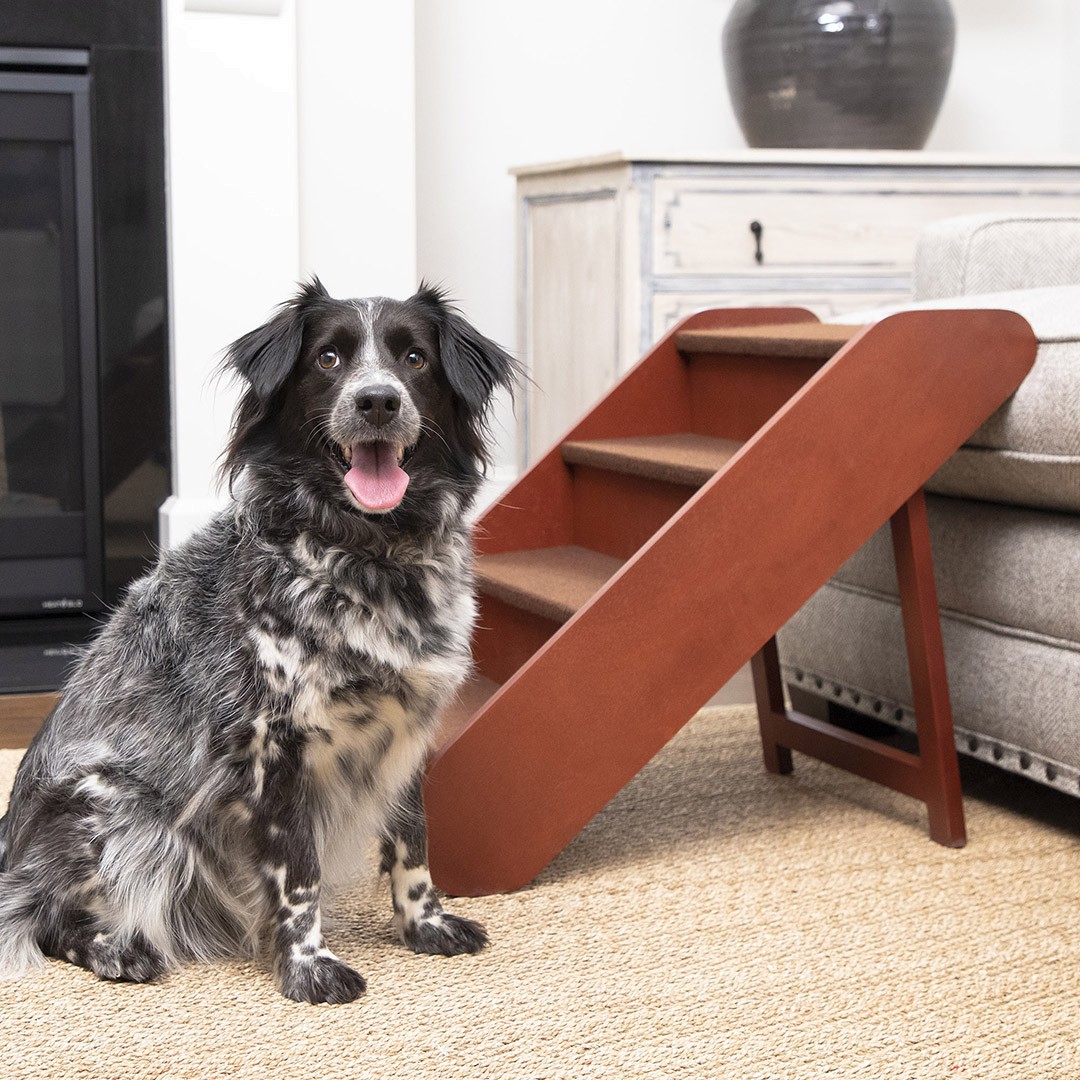 Fa Kutyalépcső (4 lépcsős) PetSafe® CozyUp™ 64 cm magas