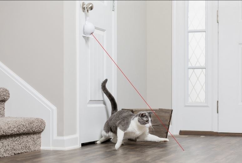 FroliCat - Dancing Dot Laser Cat Toy