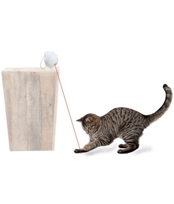 FroliCat - Dancing Dot Laser Cat Toy