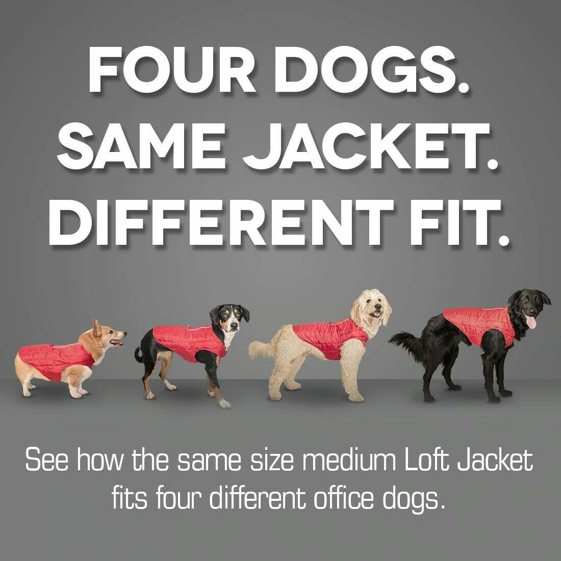 Kurgo Loft Dog Jacket XS CHILI RED-CHARCOAL- XS