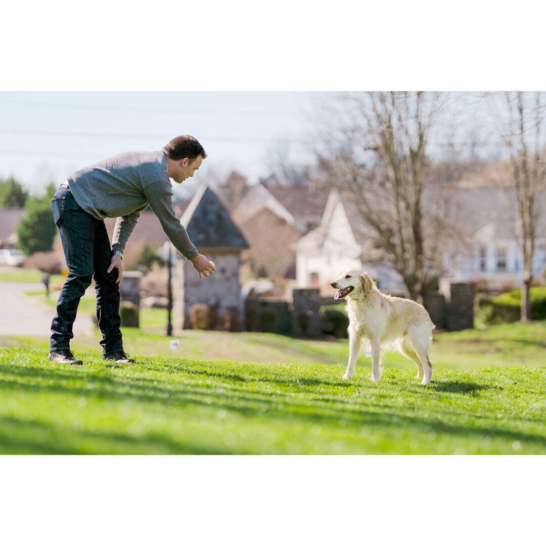 PetSafe STAY  PLAY VEZETÉK NÉLKÜLI kutyakerítés Cserélhető elemes Nyakörvvel
