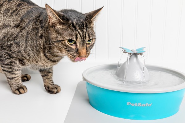Drinkwell® Butterfly Pet Fountain