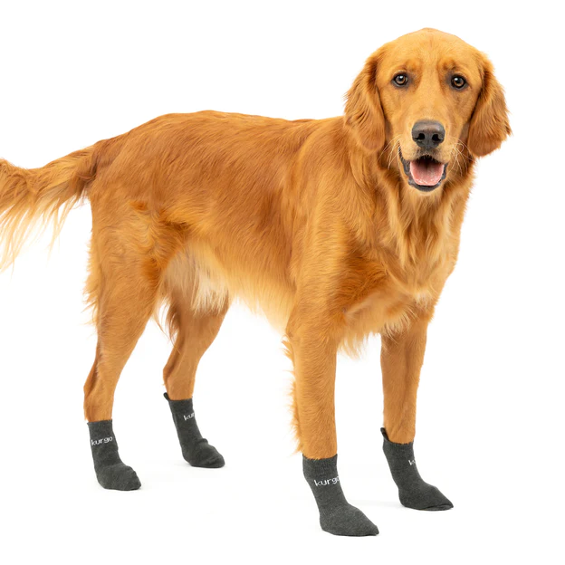 Kurgo Blaze kutyazokni, kültéri kisállat zokni, rugalmas zokni, KÖZEPES méret