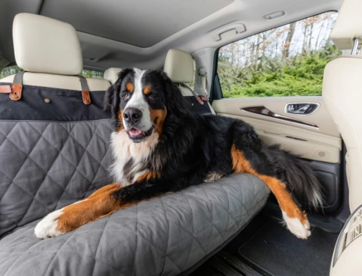 PetSafe Happy Ride Quilted Bench Seat Cover, Extra Wide, Grey